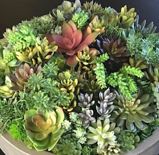 Florist «Flower City Florist», reviews and photos, 917 N Federal Hwy, Fort Lauderdale, FL 33304, USA