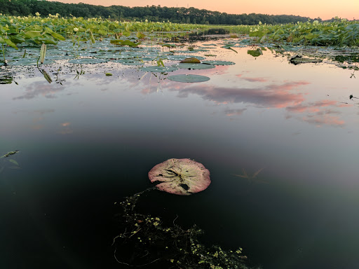 Wildlife Refuge «Great Meadows National Wildlife Refuge», reviews and photos, 73 Weir Hill Rd, Sudbury, MA 01776, USA