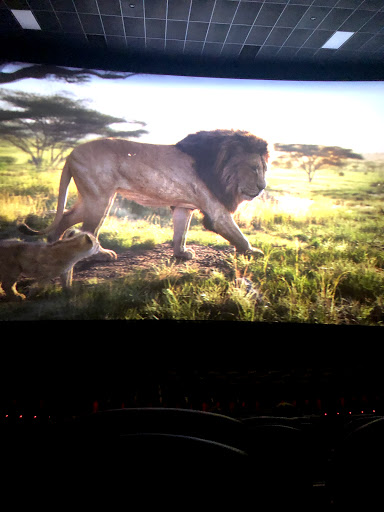 Movie Theater «Bow Tie Criterion Cinemas® 11 & BTX», reviews and photos, 19 Railroad Pl, Saratoga Springs, NY 12866, USA