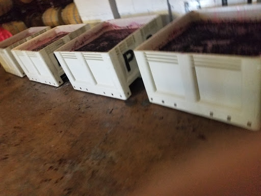 Wine Bar «Pedernales Cellars», reviews and photos, 2916 Upper Albert Rd, Stonewall, TX 78671, USA