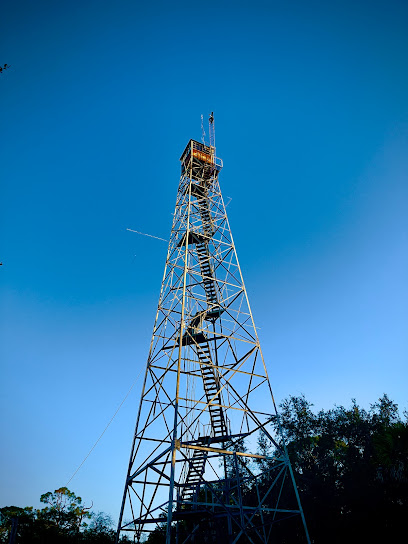 Mound Lookout Tower