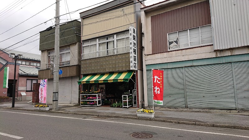 菊池種苗店