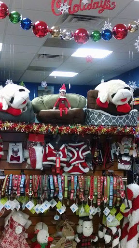 Pet Supply Store «Dawg City Inc.», reviews and photos, 38 Pearson St, Andover, MA 01810, USA