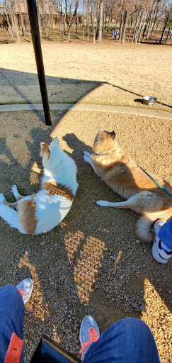 Dog Park «Freedom Dog Park», reviews and photos, 2675 Trophy Park Dr, Roanoke, TX 76262, USA