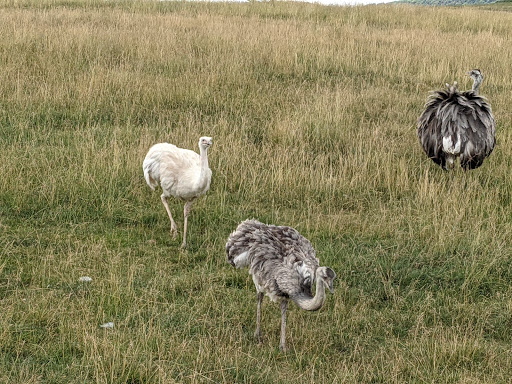 Park «Lake Tobias Wildlife Park», reviews and photos, 760 Tobias Road, Halifax, PA 17032, USA