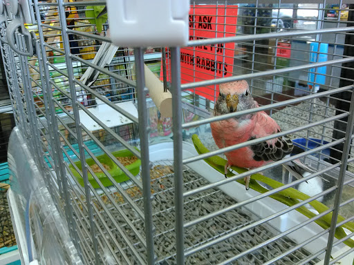 Pet Store «Carters Pet Mart», reviews and photos, 510 N Main St, Manteca, CA 95336, USA