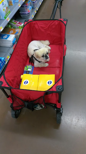 Discount Store «Walmart», reviews and photos, 51 Silver Spring St, Providence, RI 02904, USA