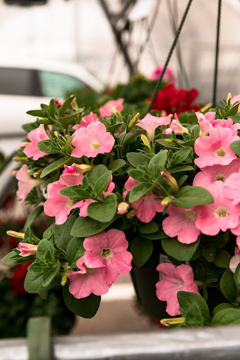 Hardware Store «Pleasants Hardware», reviews and photos, 423 N Ridge Rd, Richmond, VA 23229, USA