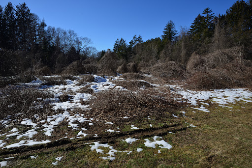 Nature Preserve «Muttontown Preserve», reviews and photos, Jericho-Oyster Bay Road, East Norwich, NY 11732, USA