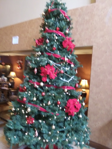 Casino «Prairie Wind Casino & Hotel», reviews and photos, 26 Casino drive, Oglala, SD 57764, USA