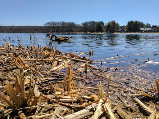 State Park «Lincoln Woods State Park», reviews and photos, 2 Manchester Print Works Rd, Lincoln, RI 02865, USA