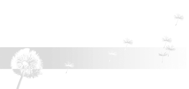 gisiger madörin ag - Möhlin