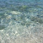 Photo n°6 de l'avis de Domenico.a fait le 07/07/2019 à 09:18 sur le  Camping Paradiso del Sub à Zambrone