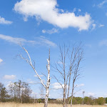 Photo n°2 de l'avis de Alexander.o fait le 07/05/2022 à 13:17 sur le  Hotel am Tierpark à Güstrow