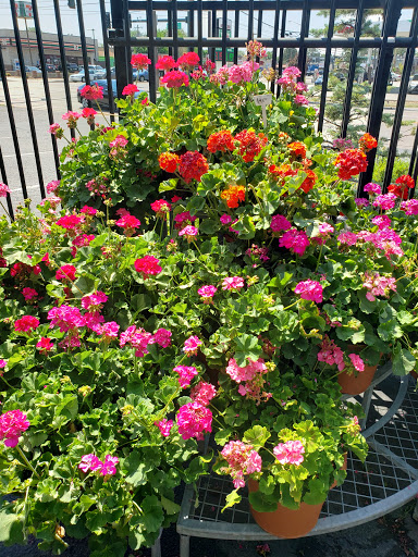 Florist «Bonnie Brae Flowers Inc», reviews and photos, 5595 E Evans Ave, Denver, CO 80222, USA