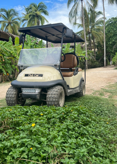 Ocean Golf Carts