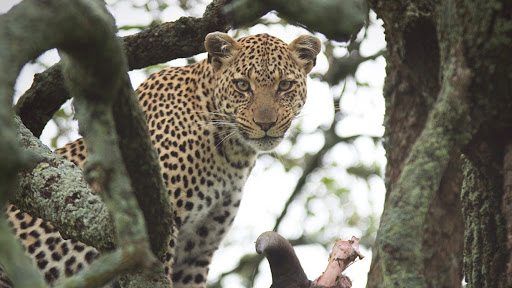 Travel Agency «Travel Beyond - Travel Agency», reviews and photos, 106 Broadway Ave S, Wayzata, MN 55391, USA