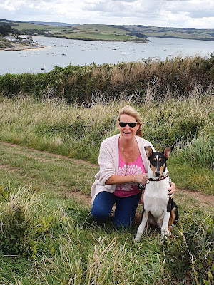 Scallywags Dog Grooming