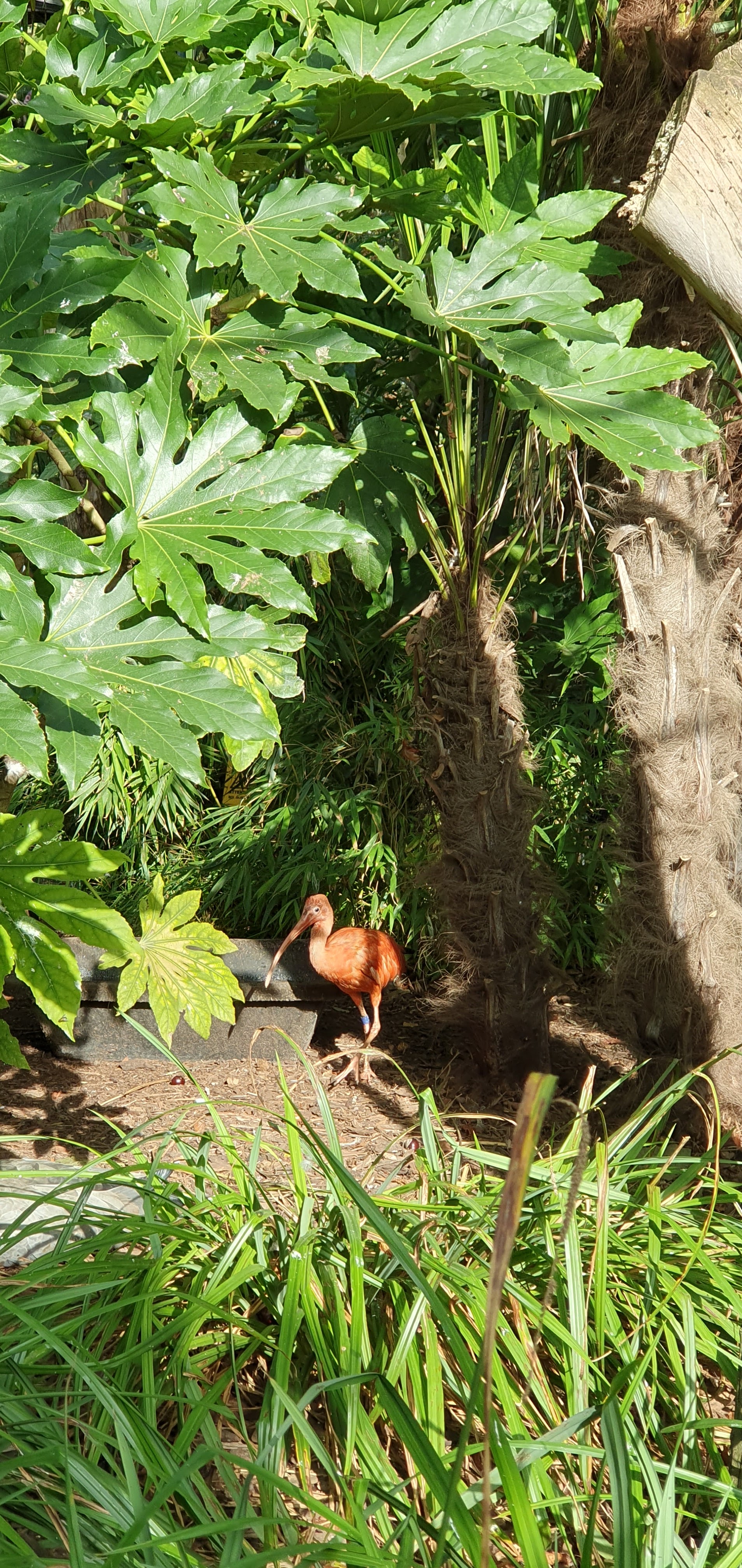 Photo n° 2 de l'avis de Mélanie.i fait le 30/09/2023 à 21:21