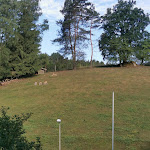 Photo n°1 de l'avis de Jörg.t fait le 06/07/2023 à 18:50 sur le  Land-Hotel Neuhof, Bayern (Bayerischer Wald) à Zenting