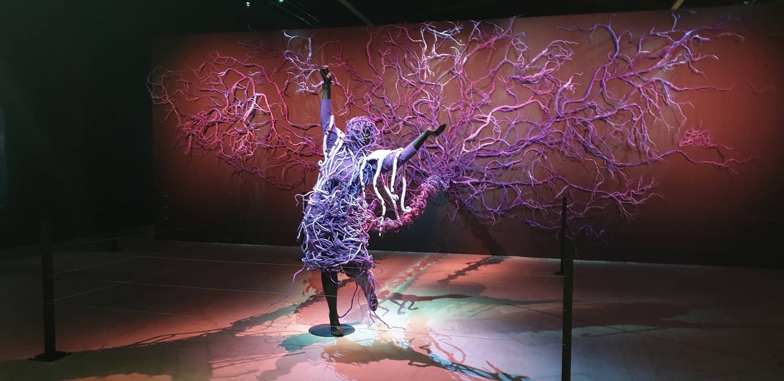 Photo n° 2 de l'avis de Joelle.e fait le 22/10/2021 à 06:48