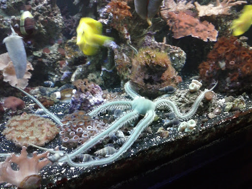 Pet Store «Tanks Pet Supply», reviews and photos, 628 S Main St, Princeton, IL 61356, USA