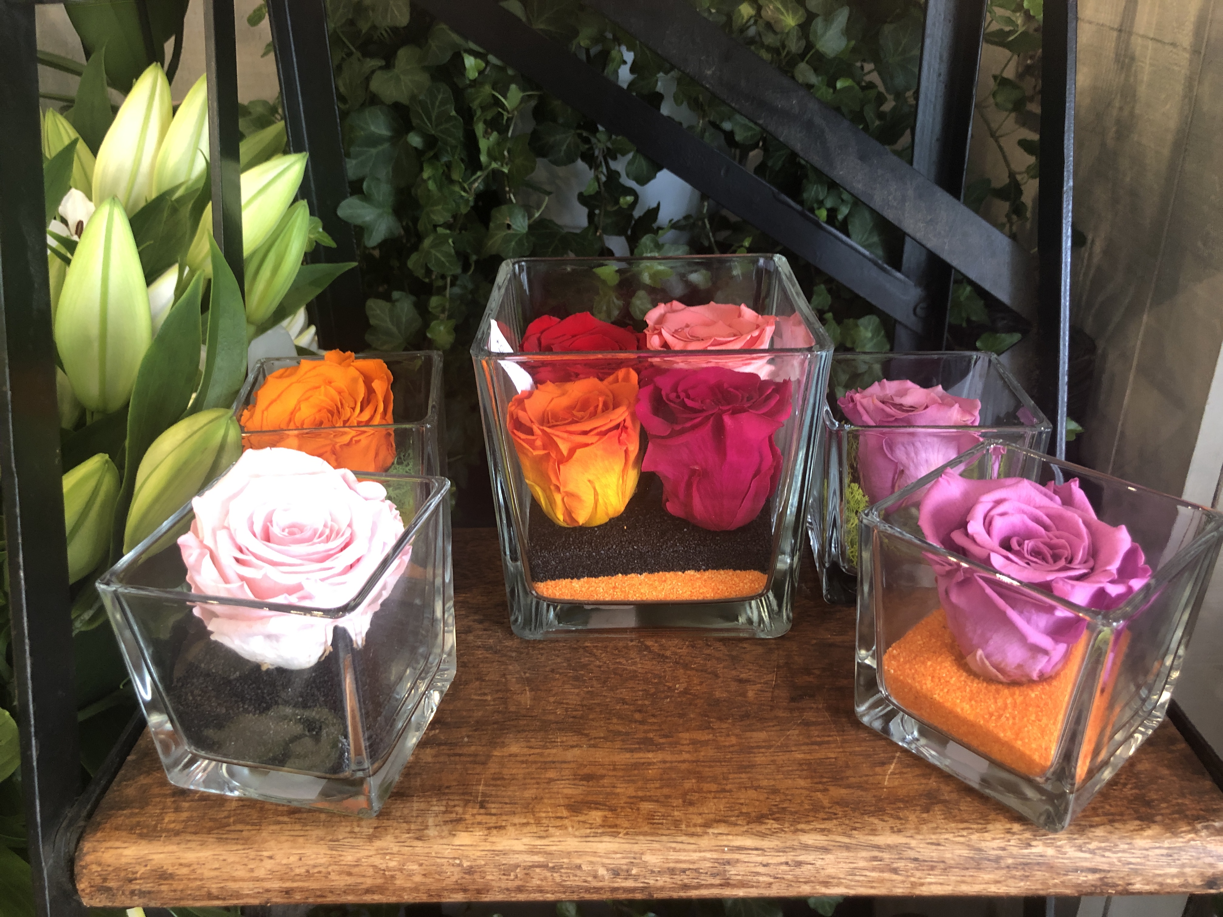 Photo n° 7 de l'avis de Hang.h fait le 18/07/2019 à 10:00