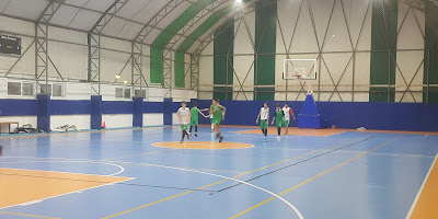 İstanbul Dsi Spor Kulübü