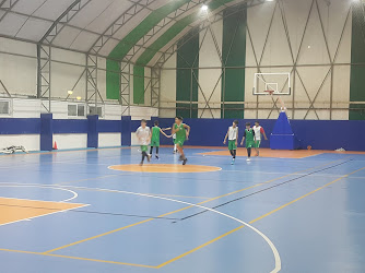 İstanbul Dsi Spor Kulübü