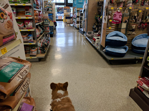 Pet Supply Store «PetSmart», reviews and photos, 288 West Ave, Stamford, CT 06902, USA