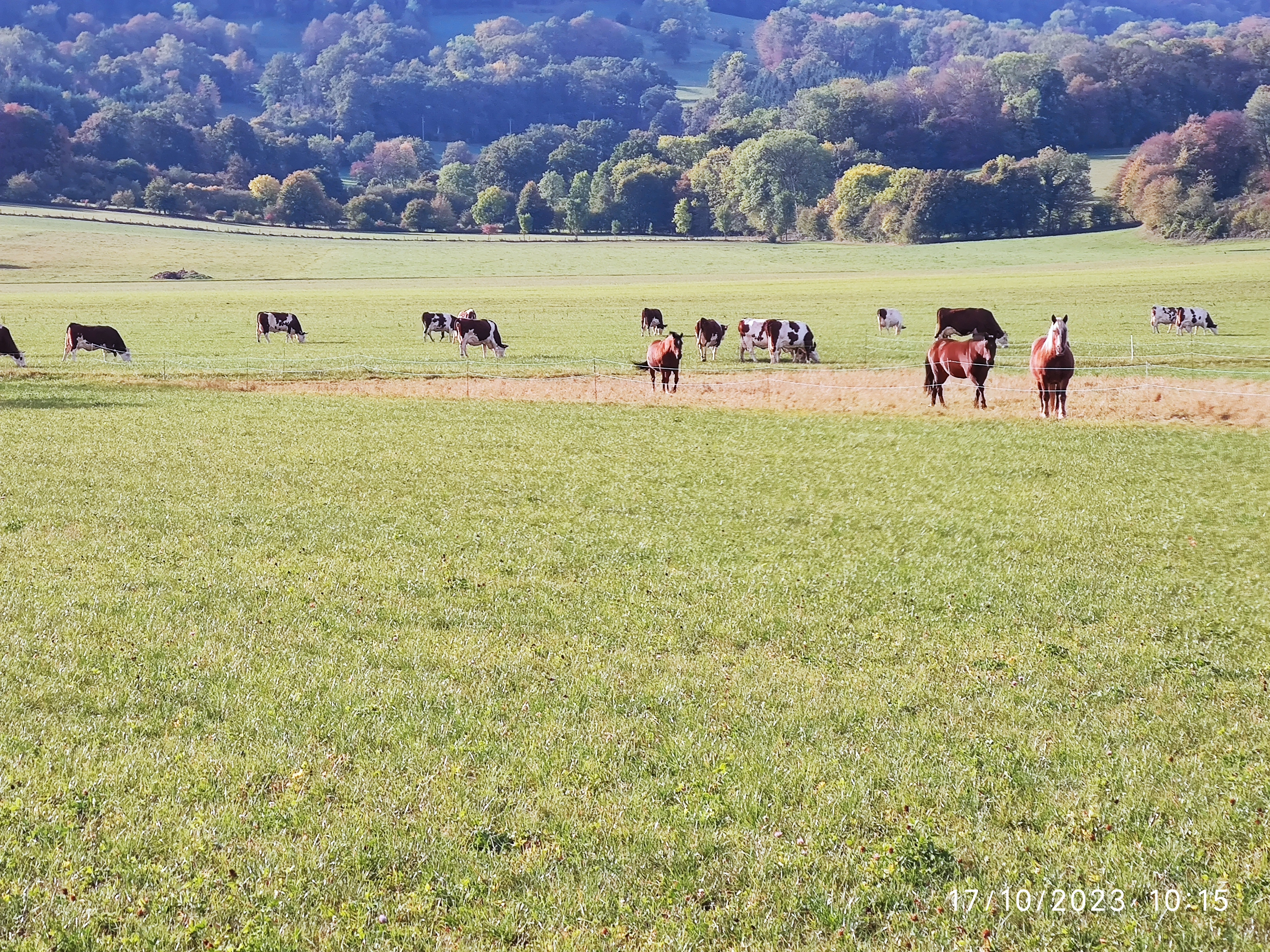 Photo n° 36 de l'avis de Patrick.i fait le 12/12/2023 à 10:07