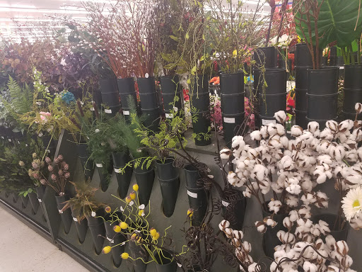 Craft Store «Hobby Lobby», reviews and photos, 42643 Ford Rd, Canton, MI 48187, USA