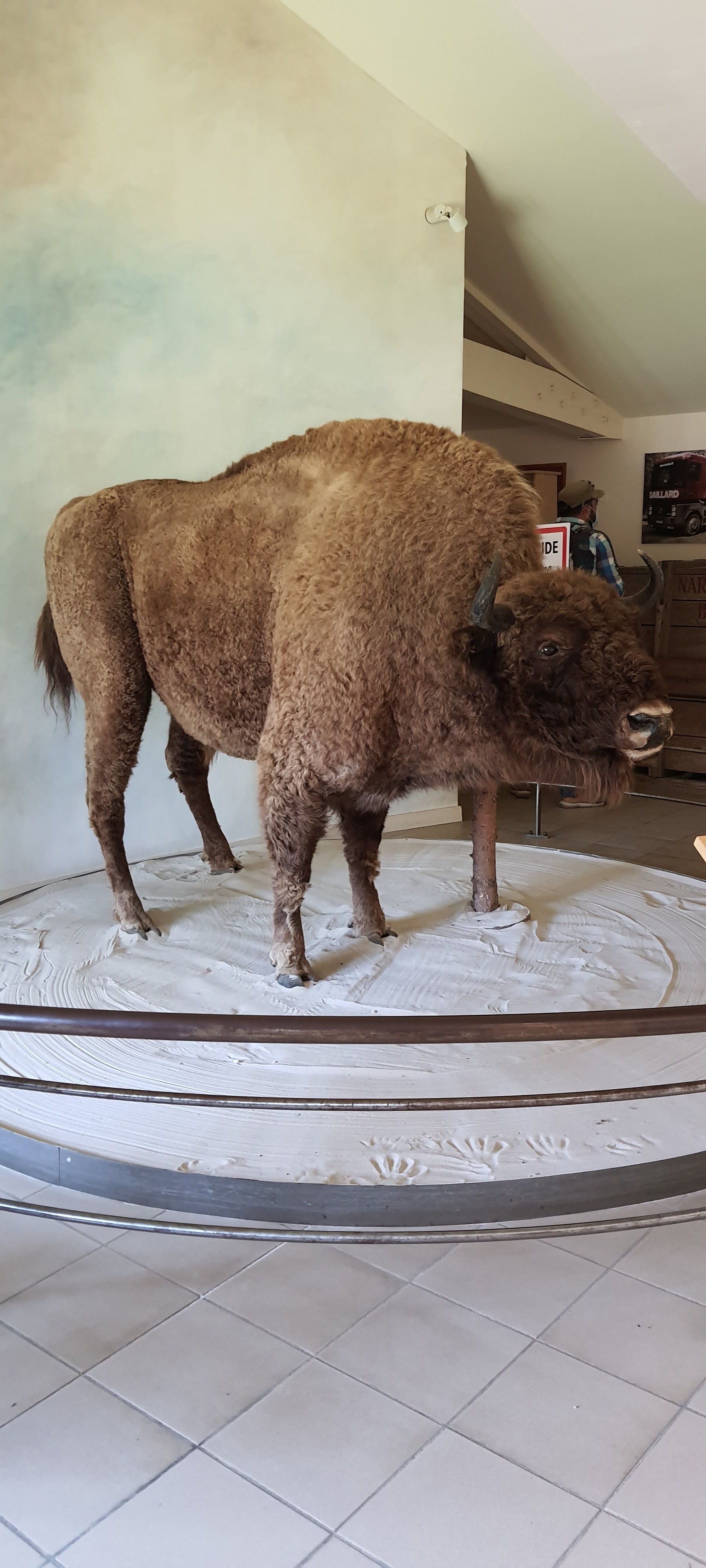 Photo n° 1 de l'avis de Benjamin.o fait le 22/08/2021 à 17:09