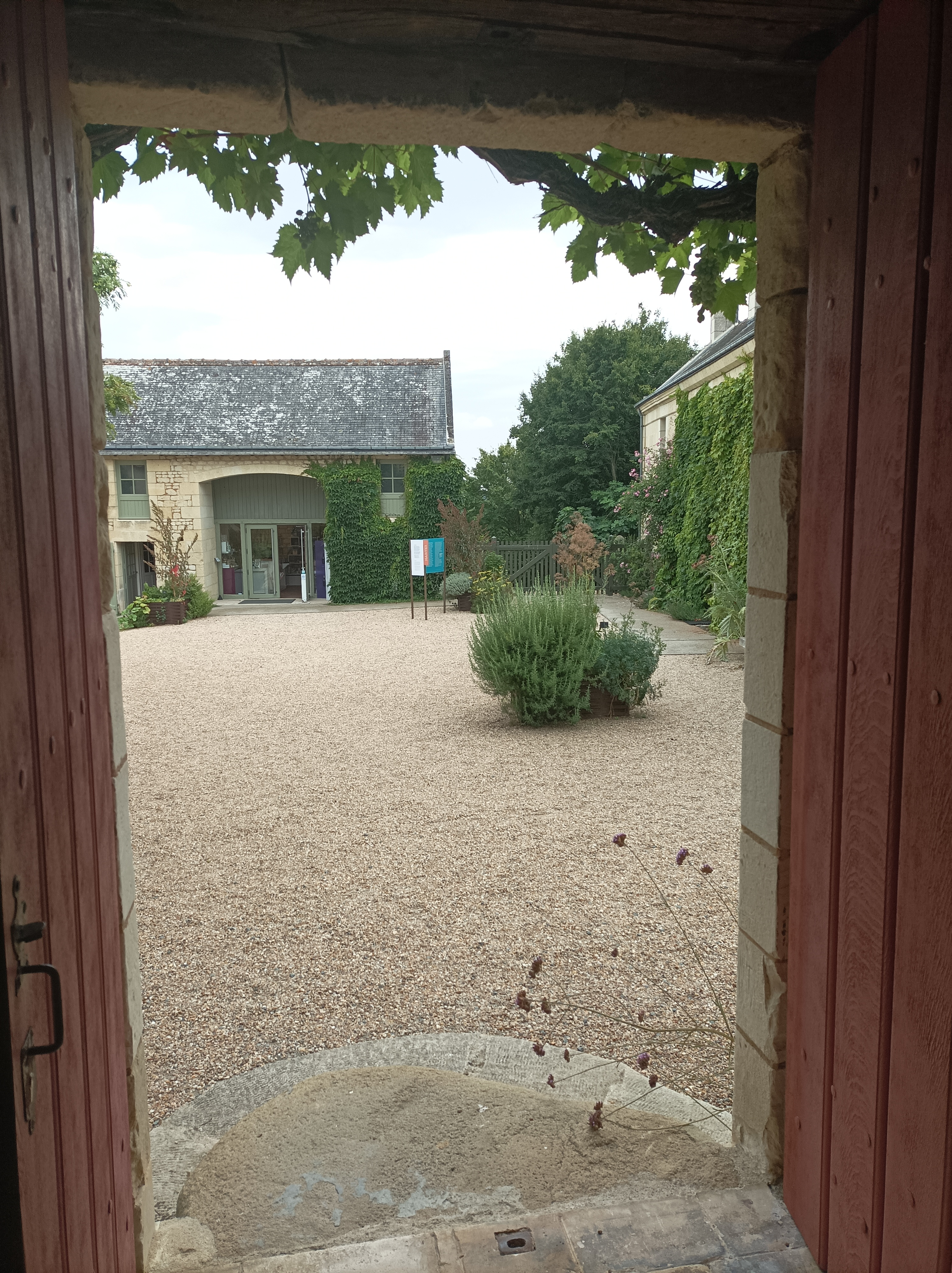 Photo n° 1 de l'avis de flo.a fait le 23/07/2022 à 13:35