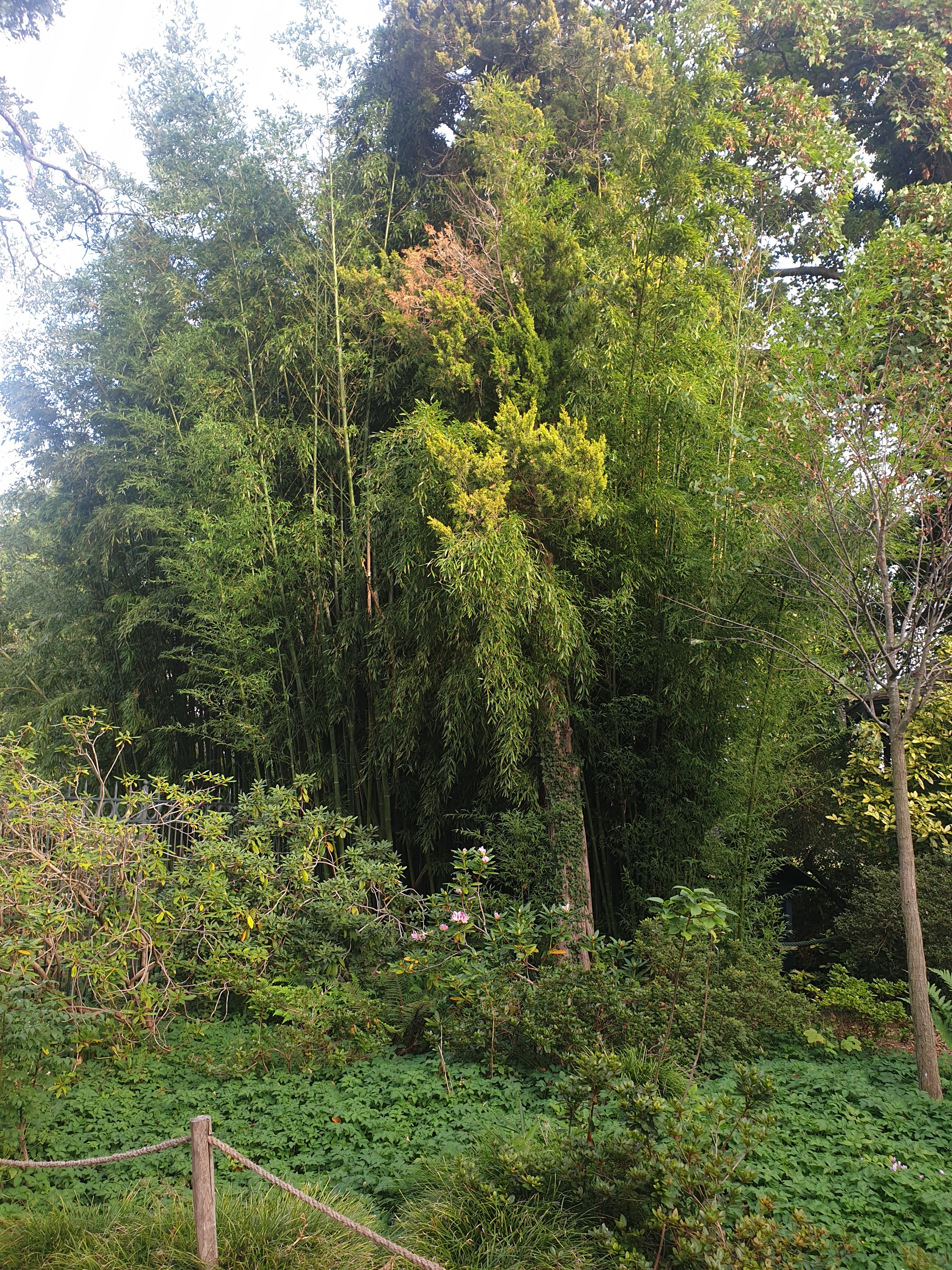 Photo n° 2 de l'avis de Marie-Anne.o fait le 26/09/2020 à 21:21