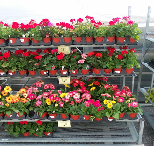 Hardware Store «Taylor’s Do it Center», reviews and photos, 2865 Lynnhaven Dr, Virginia Beach, VA 23451, USA