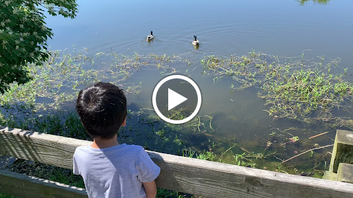 Park «Corwin M Nixon Park», reviews and photos, 6249 Mason Montgomery Rd, Mason, OH 45040, USA