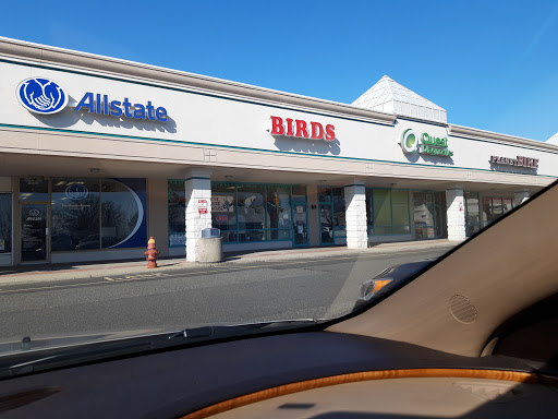 Shopping Mall «Route 18 Shopping Center», reviews and photos, 1020 NJ-18, East Brunswick, NJ 08816, USA