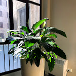 Photo n°38 de l'avis de caterina.u fait le 15/09/2018 à 09:52 sur le  Hotel Area Roma à Rome