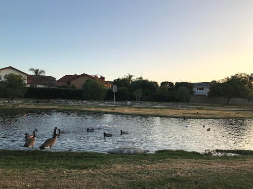 Park «Greer Park», reviews and photos, 6900 W McFadden Ave, Huntington Beach, CA 92647, USA