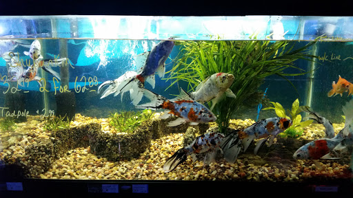 Pet Store «Moby Dick Pet Store Inc», reviews and photos, 3700 Sashabaw Rd, Waterford Twp, MI 48329, USA