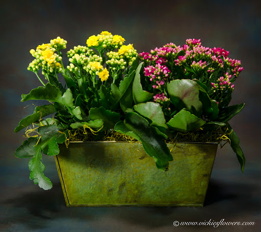 Florist «Vickies Flowers», reviews and photos, 16150 Geneva Ct, Brighton, CO 80602, USA