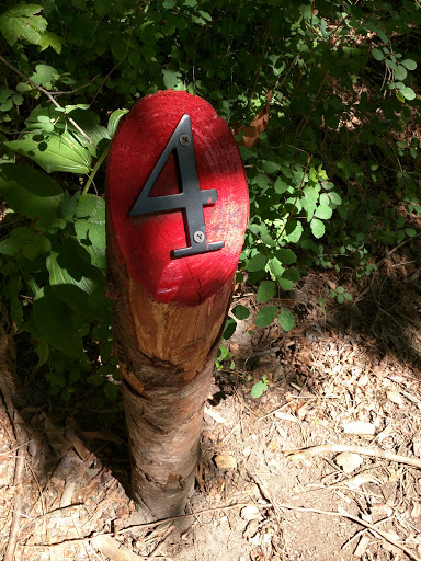 Public Golf Course «White River Disc Golf Course», reviews and photos, 2401 Stuck River Dr, Auburn, WA 98092, USA