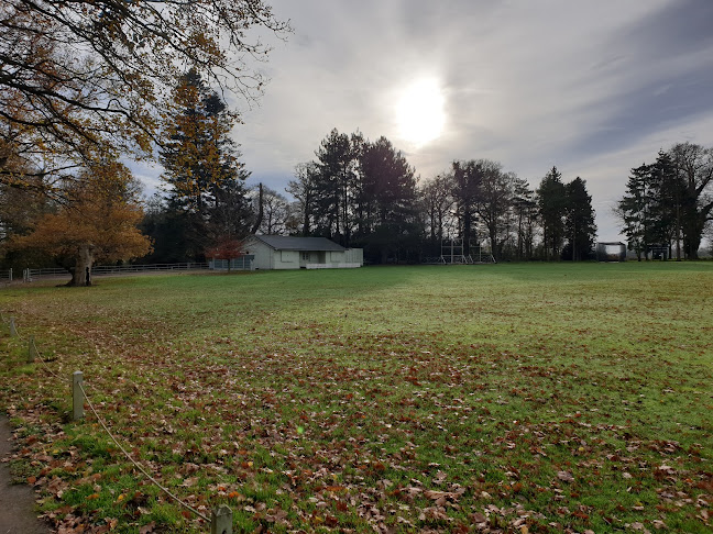 Comments and reviews of Copford Cricket Club