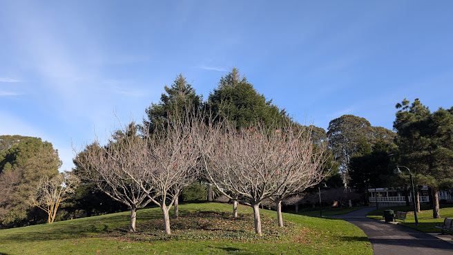 Presidio by null