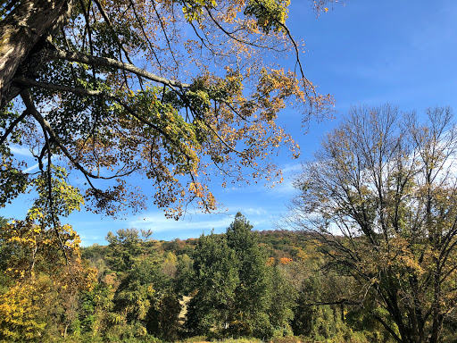 Vineyard «Torne Valley Vineyard», reviews and photos, 1 Torne Valley Rd, Hillburn, NY 10931, USA