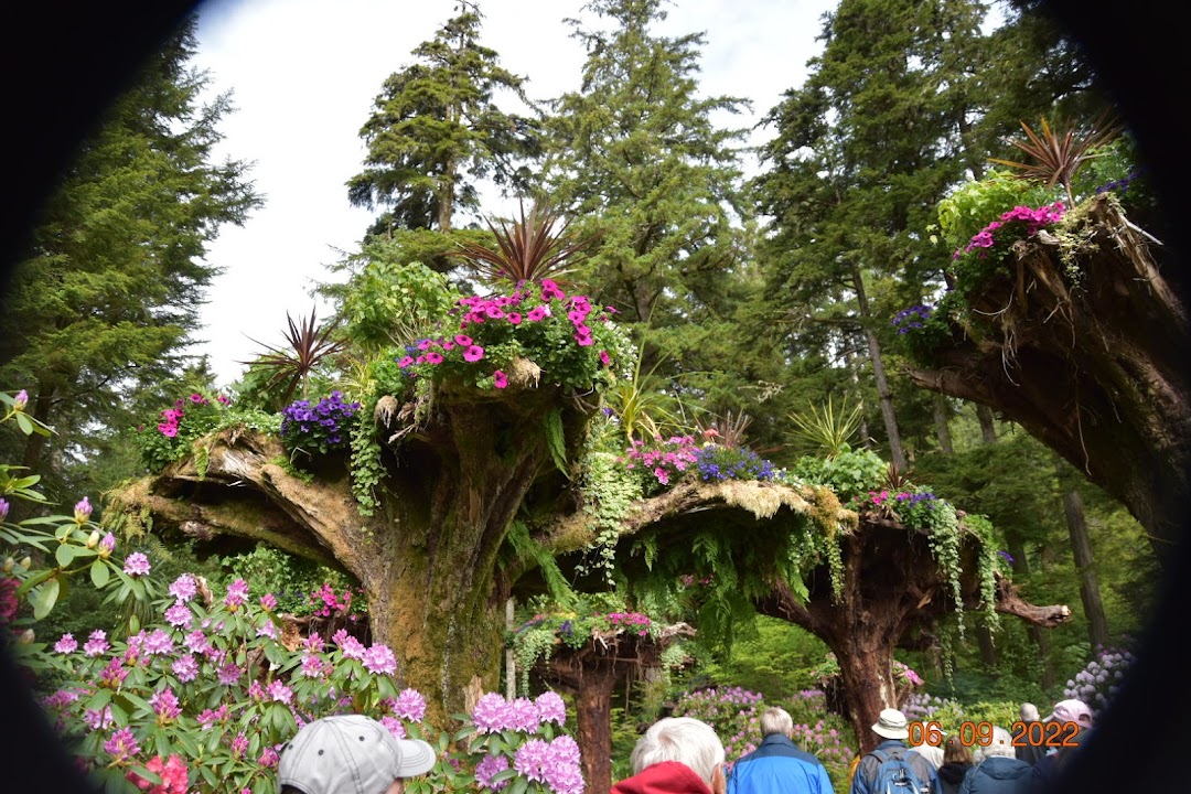 Juneau, Amerika Birleşik Devletleri