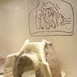 Elazığ Arkeoloji Ve Etnografya Müzesi