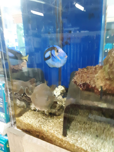 Pet Store «The Pet Zone», reviews and photos, 20 W Oak St, Pittston, PA 18640, USA