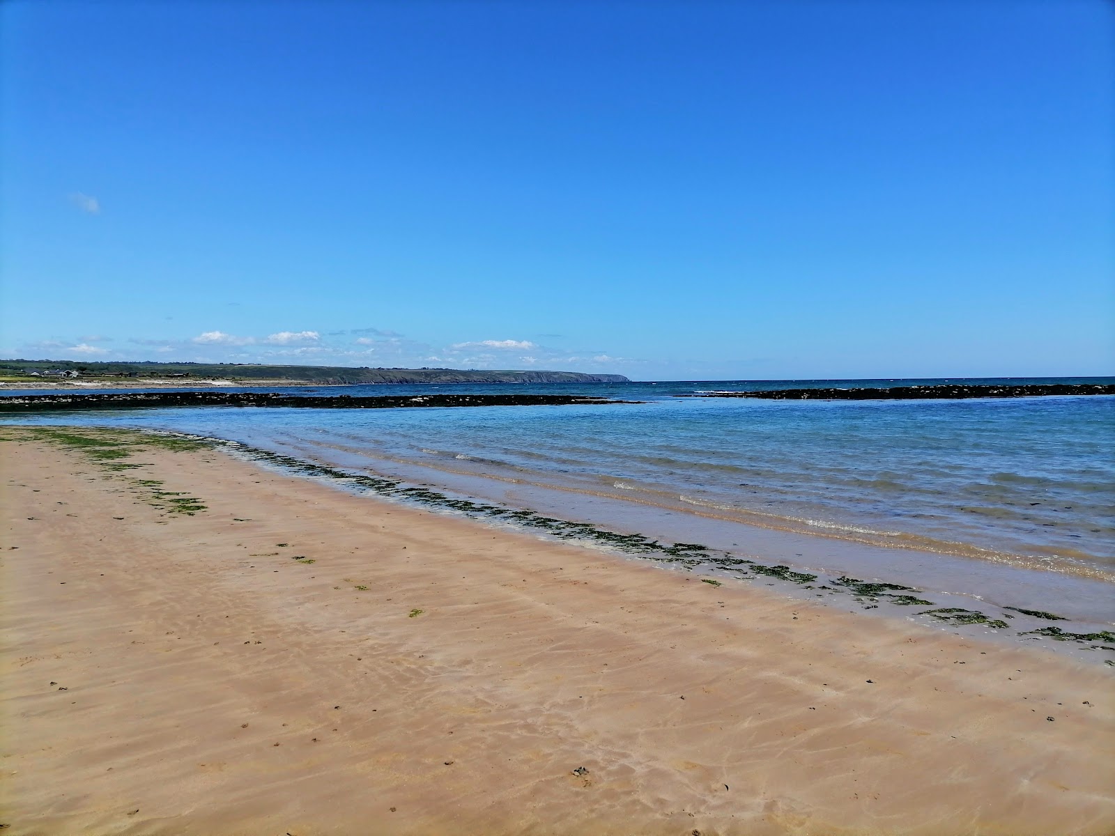 Fotografija Ardmore Beach podprto z obalami